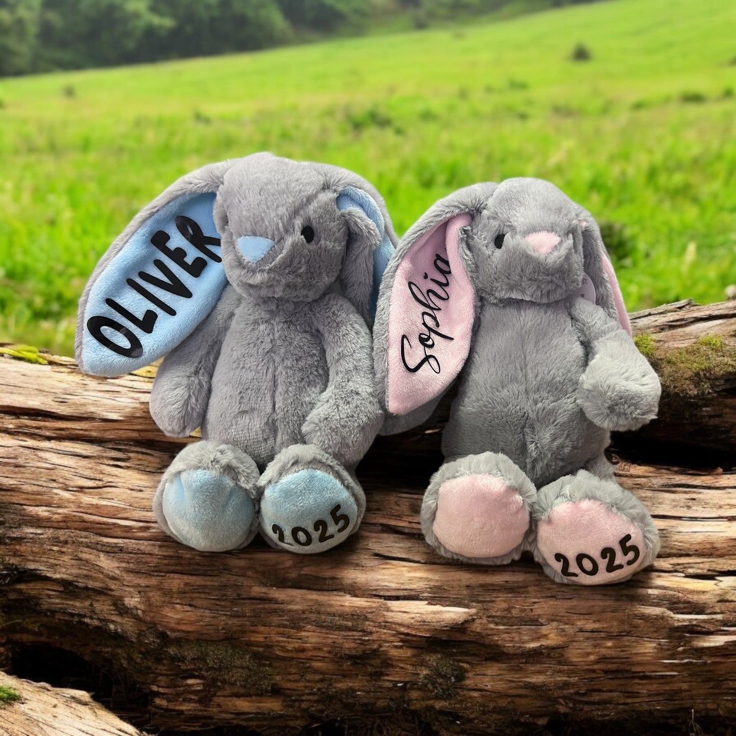 Personalised Bunny