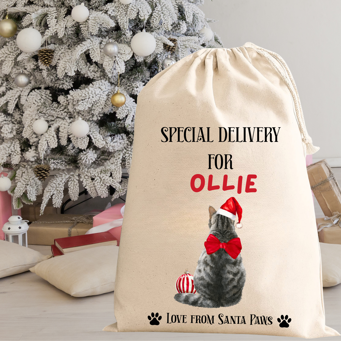 Personalised Cat Santa Sack