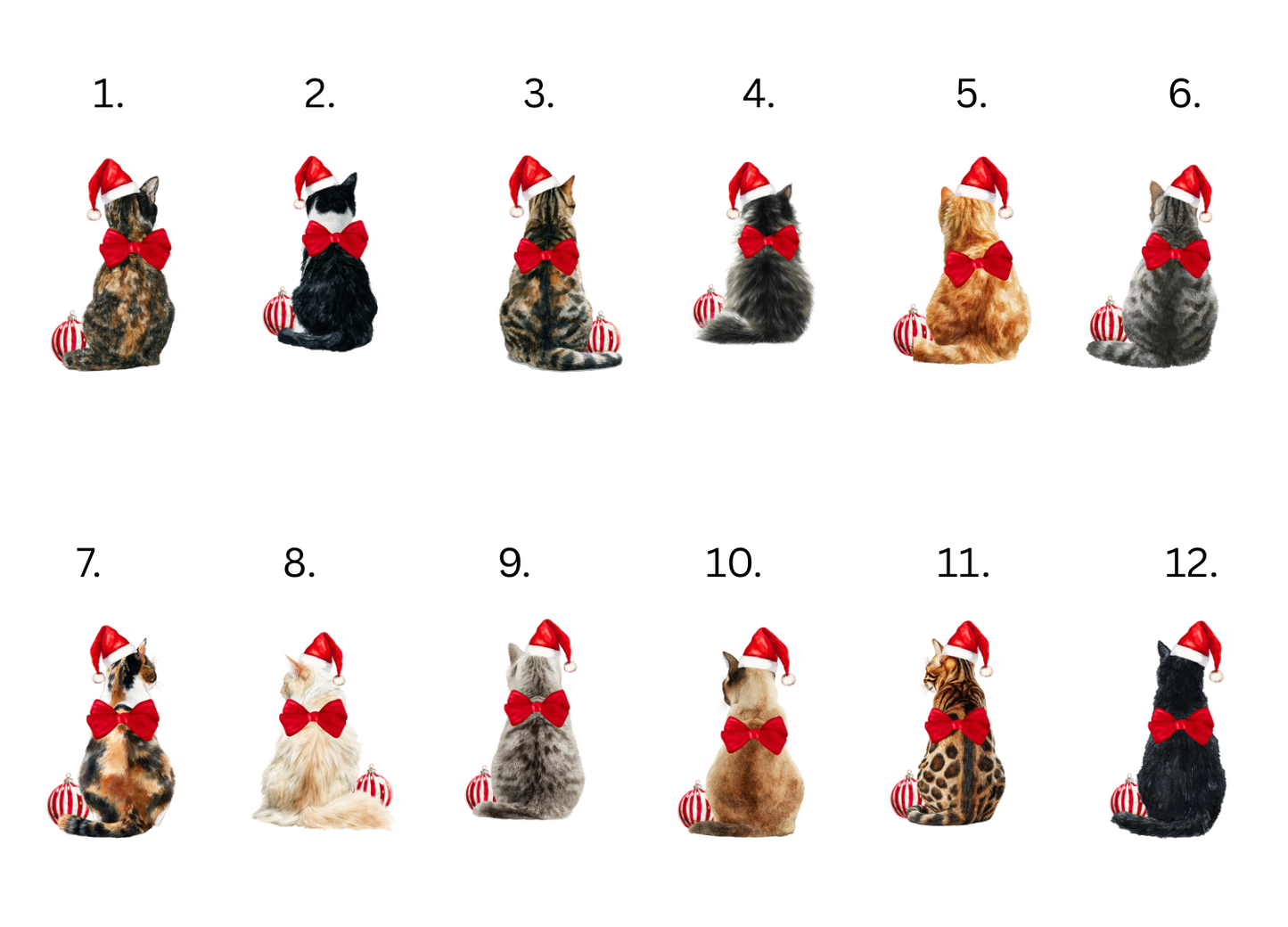 Personalised Cat Bauble