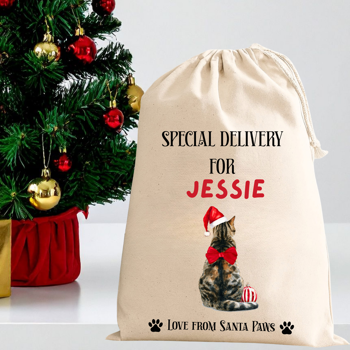 Personalised Cat Santa Sack