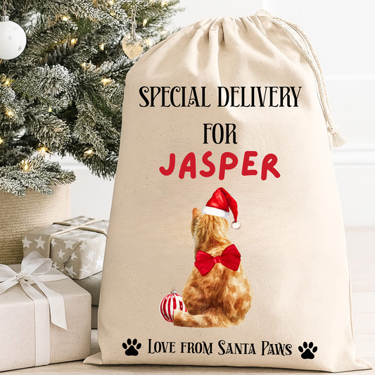 Personalised Cat Santa Sack