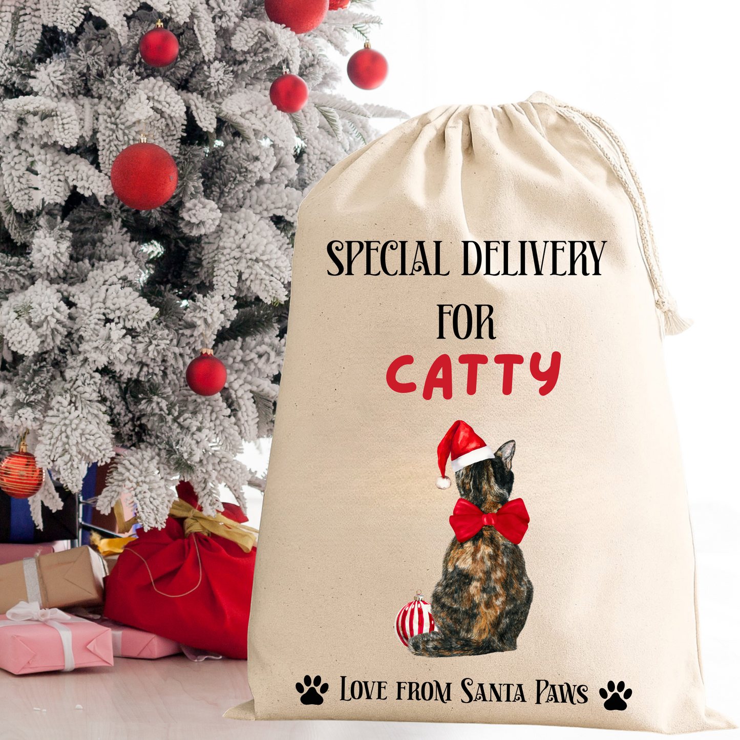 Personalised Cat Santa Sack