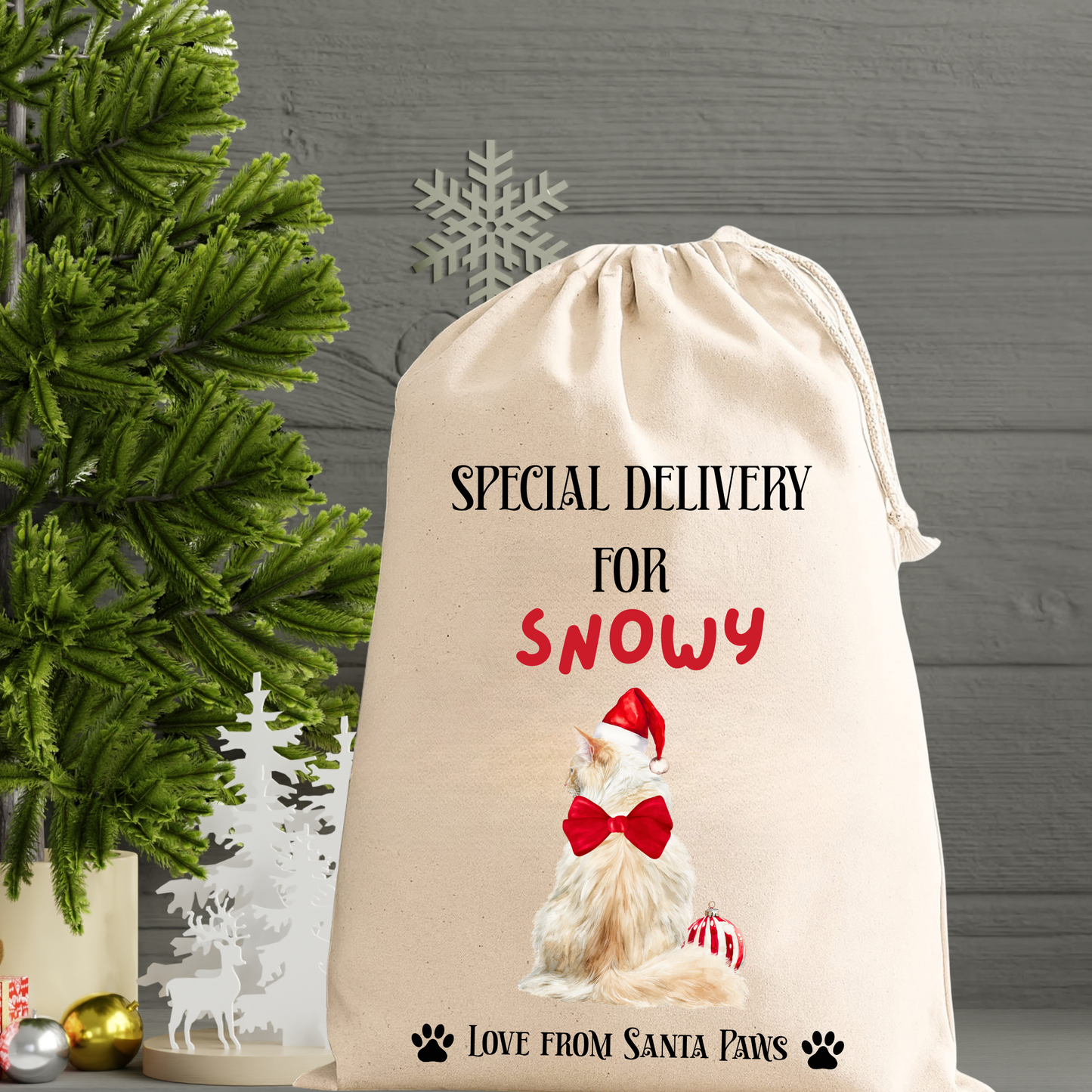 Personalised Cat Santa Sack