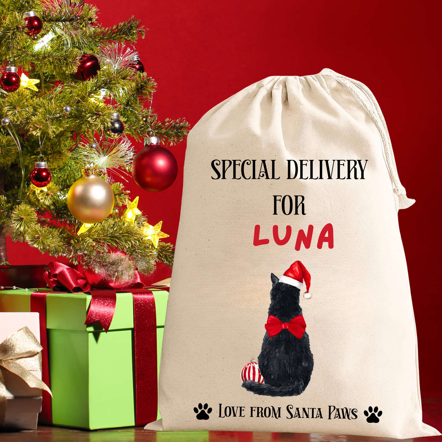 Personalised Cat Santa Sack