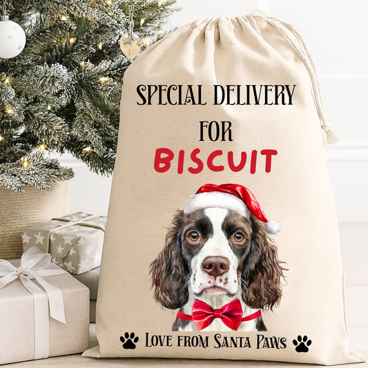 Personalised Dog Santa Sack
