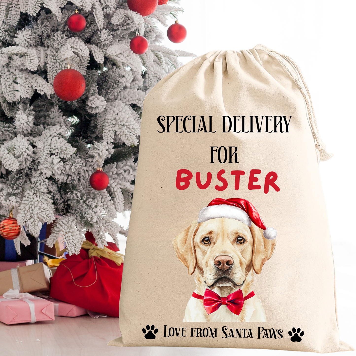 Personalised Dog Santa Sack