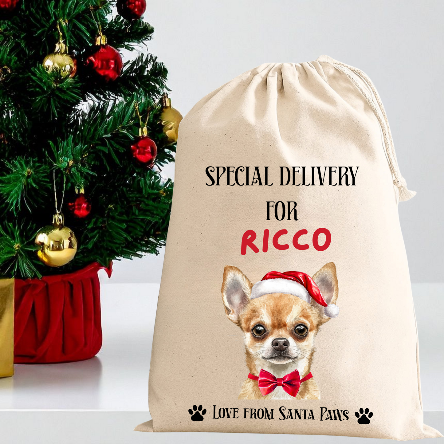 Personalised Dog Santa Sack