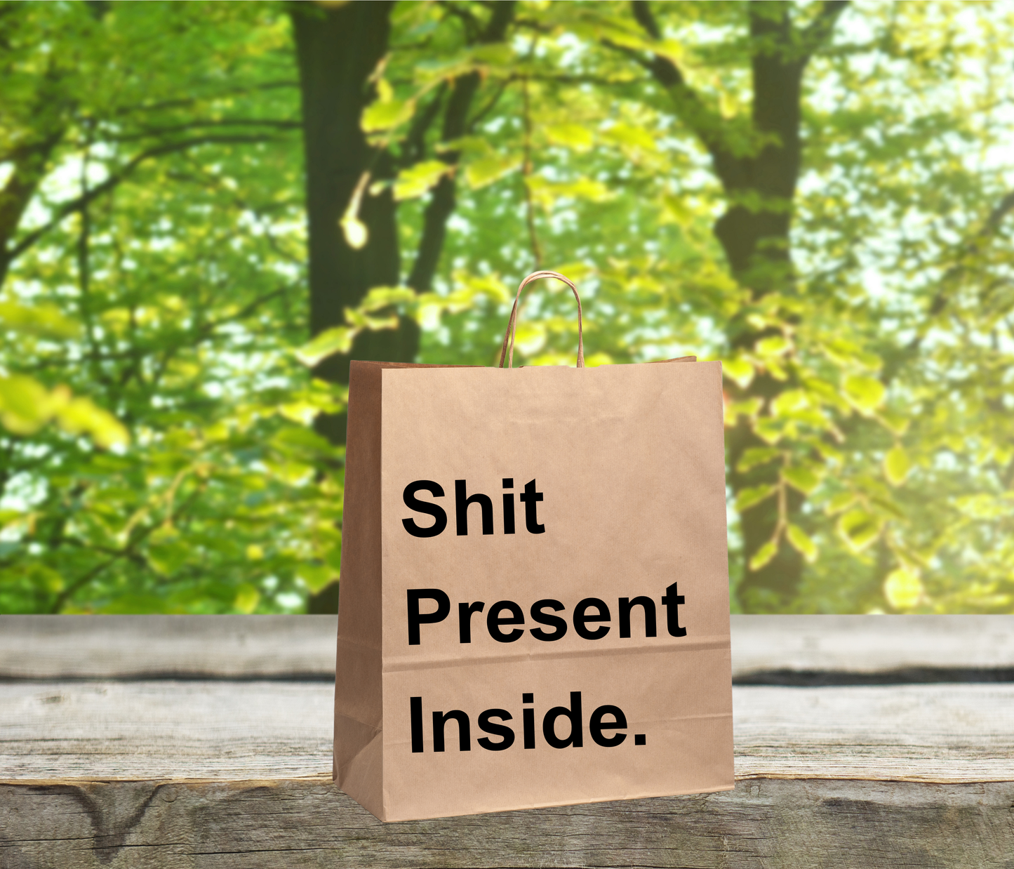 Funny Gift Bag – “Shit Present Inside”